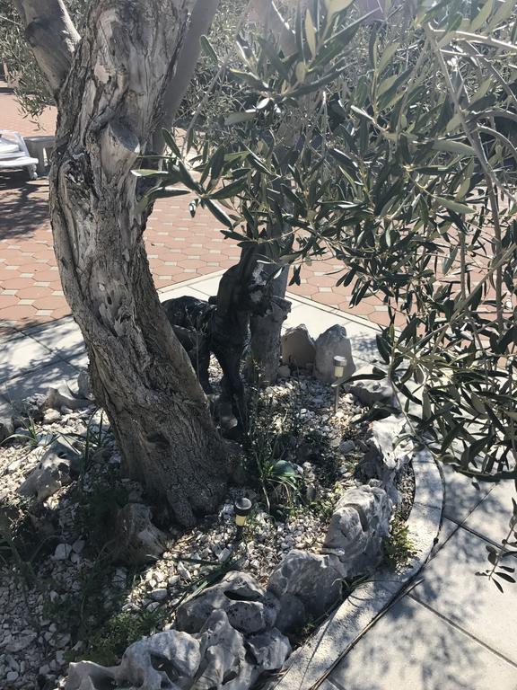 Casa Dolcevita Šibenik Buitenkant foto